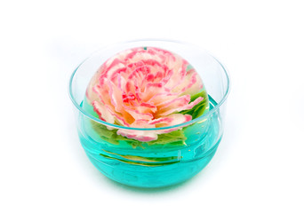 Flower Jelly Cakes, 3D Jelly Art 3D Agar