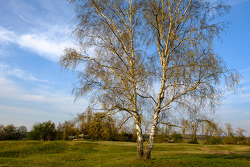Obraz premium Abend im NSG Sulzheimer Gipshügel, Landkreis Schweinfurt, Unterfranken, Bayern, Deutschland