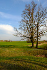 Abend im NSG Sulzheimer Gipshügel, Landkreis Schweinfurt, Unterfranken, Bayern, Deutschland