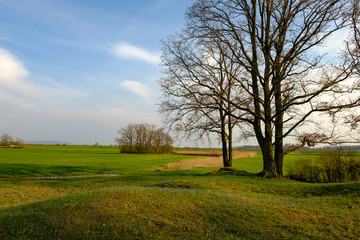 Abend im NSG Sulzheimer Gipshügel, Landkreis Schweinfurt, Unterfranken, Bayern, Deutschland