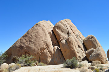 Extraordinary stone formations and yucca in nature in the Joshua tree National park, California