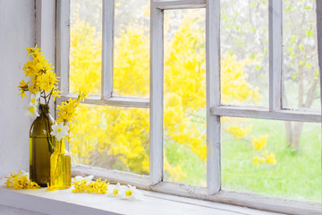 yellow spring flowers on windowsill - obrazy, fototapety, plakaty