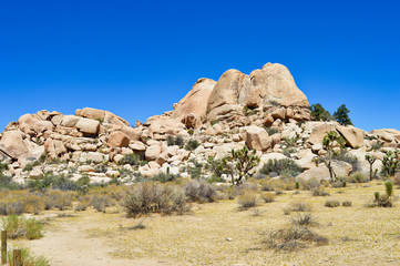 Extraordinary stone formations and yucca in nature in the Joshua tree National park, California