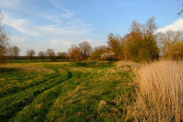 Abend im NSG Sulzheimer Gipshügel, Landkreis Schweinfurt, Unterfranken, Bayern, Deutschland