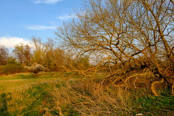 Abend im NSG Sulzheimer Gipshügel, Landkreis Schweinfurt, Unterfranken, Bayern, Deutschland