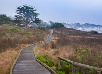 Fototapeta na wymiar The Moonstone Boardwalk walkway spans the length of Moonstone Beach, along the Pacific Coast in Cambria, California, a popular weekend getaway. 
