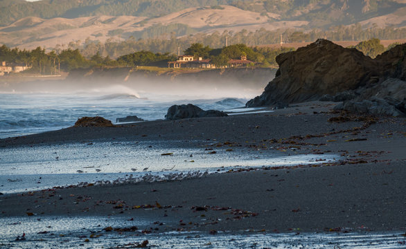 Early morning along the Pacific Coast of California at Leffingwell Landing State Park, looking toward the hills of San Simeon, not far from the Hearst Castle, a famous tourist attraction.  
