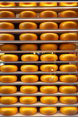 Cheese cheese heads on a store counter.