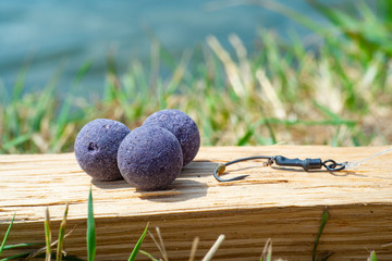 Mulberry Plum purple boilies with fishing hook. Fishing rig for carps, boilie rig, near the lake on...