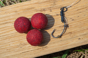 Robin Red Boilies with fishing hook. Fishing rig for carps, boilie rig, near the lake on a piece of wood