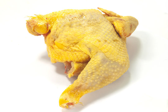 un quarto di pollo cappone per il brodo di natale
