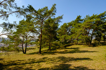 Fototapeta na wymiar Naturschutzgebiet Grainberg-Kalbenstein