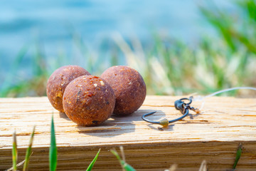 Complex-T Boilies with fishing hook. Fishing rig for carps, boilie rig, near the lake on a piece of...