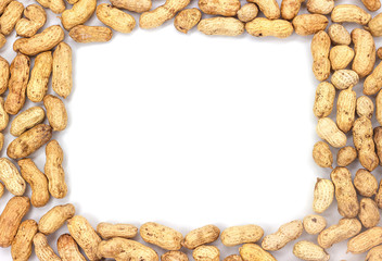 peanut on white background with place for text in the center in a square
