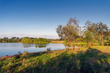 Fototapeta premium Summer landscape with a pond, trees and grass on the banks against a blue sky with clouds