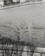 Fototapeta premium water in the river
