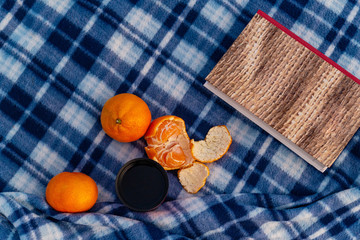 Book, tangerines and chocolate on a blue plaid, reading in silence, nobody