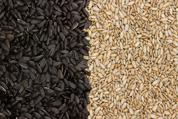 seeds sunflower as the background clean and not clean seeds