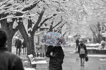 A little colour in grey surroundings. A person walking with a colourful umbrella on a snowy winter street.
