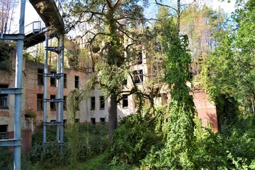 Fototapeta na wymiar Verwunschen - Ruinen in Beelitz Heilstätten