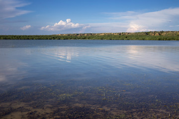 Summer beautiful landscape.
