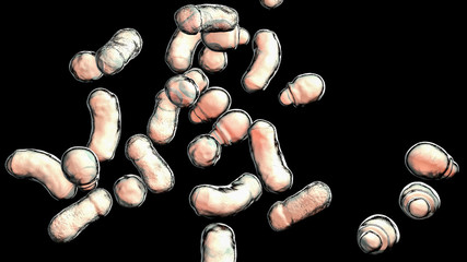 Microscopic fungi Malassezia furfur, 3D illustration. They are naturally found on the skin surfaces and are also associated with dandruff, seborrhoeic dermatitis and tinea versicolor © Dr_Microbe