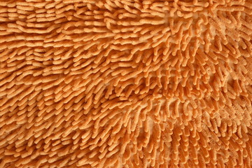 abstract brown background