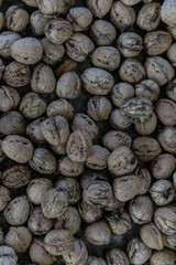 Home grown nuts from the farm