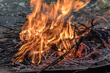 Dried vines used for traditional Georgian BBQ © Timon