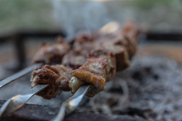 Pork Kebob over a smokey fire