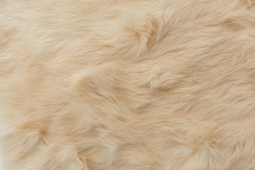 brown rabbit fur Texture, animal skin background