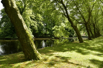 L'étang ombragé sous les arbres majestueux au domaine de la roseraie Coloma à St-Pieter-Leeuw