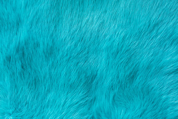 blue rabbit fur Texture, animal skin background