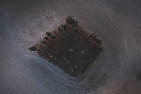 Drone top down view of Cyprus Trees in a remote field in Tuscany
