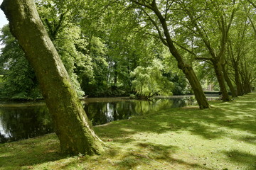 L'étang ombragé sous les arbres majestueux au domaine de la roseraie Coloma à St-Pieter-Leeuw