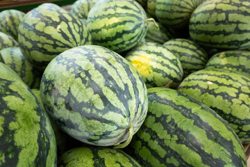 watermelon stacked on the marketplace