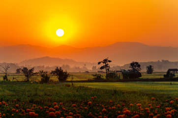The beautiful landscape of the sunrise, The sun's rays through at the top of the hill and the trees...