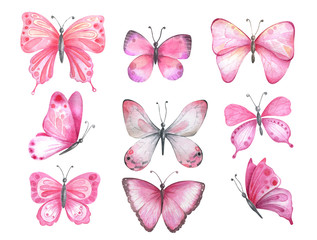 Fototapeta na wymiar Set of watercolor pink butterflies.