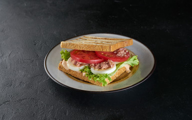 Homemade tuna sandwich on black background