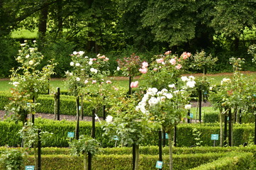 D&eacute;coration paysag&egrave;re avec divers &eacute;l&eacute;ments &agrave; la Roseraie du ch&acirc;teau Coloma &agrave; St-Pieter-Leeuw 