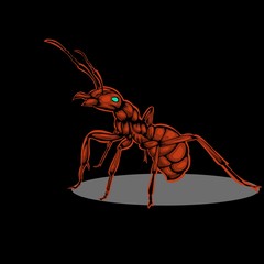 illustration of ant