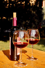 Fine Red Wine Tasting Concept