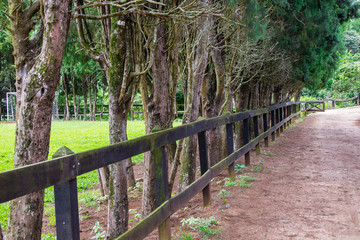Fototapeta premium Caminho no Aras, cerca e gramado