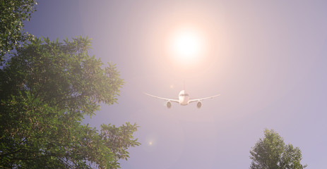 Orange sun over the plane and trees in the sky.
