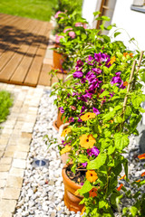 Fototapete bei efototapeten.de bestellen   