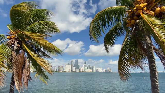 An extreme wide shot of the iconic Miami skyline as seen from Watson Island on a sunny summer day. Shot in slow motion.  	