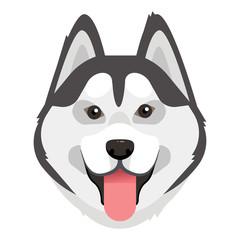Siberian husky. Husky dog portrait. Husky head. Dog breed. Vector illustration.  © Serhii