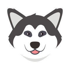 Siberian husky. Husky dog portrait. Husky head. Dog breed. Vector illustration. 