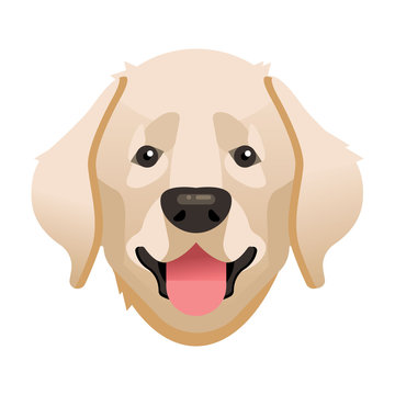 Labrador. Labrador dog portrait. Labrador head. Dog breed. Vector illustration.