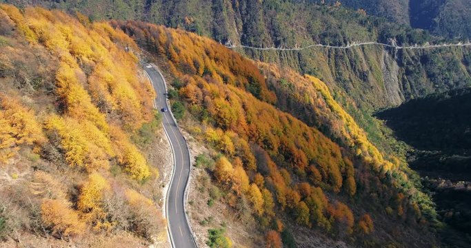 Aerial above view of car driving on the winding road in the colourful autumn mountain woods 4k nature landscape of yellow pine tree forest